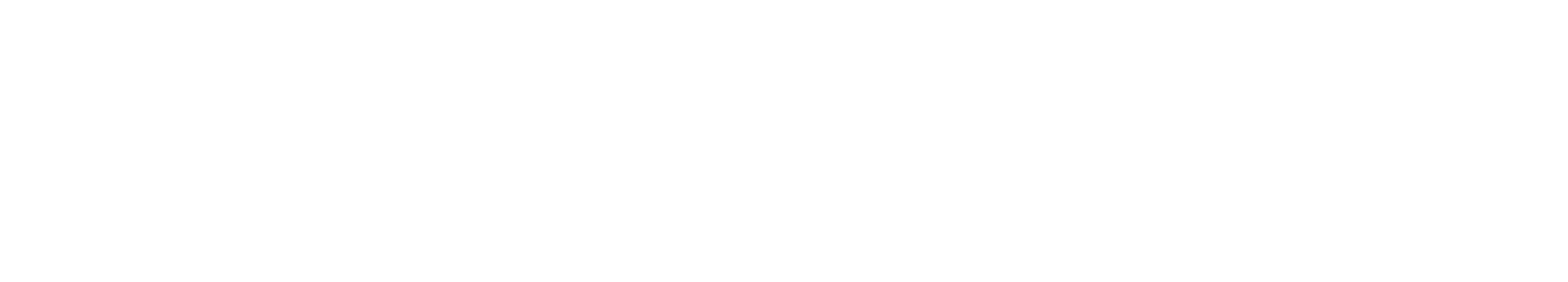 bizhost Logo